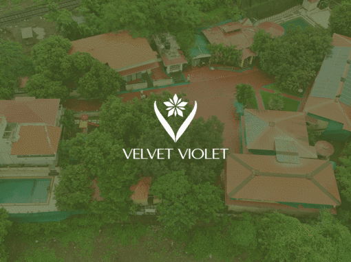 From Vision to Experience: Launching Velvet Violet’s Brand Story From Vision to Experience: Launching Velvet Violet’s Brand Story