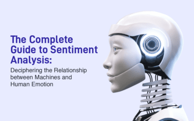 A Guide to Sentiment Analysis: The Machine-Human Emotion Equation